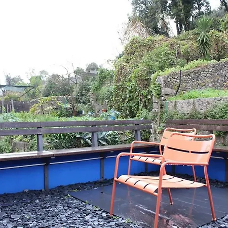 The Blue House